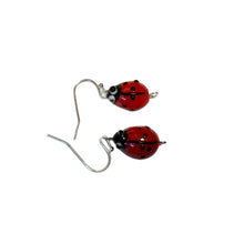 Load image into Gallery viewer, Handmade by Rose Lampwork Red and Black Ladybug Bug Insect Silver Tone Beaded Earrings
